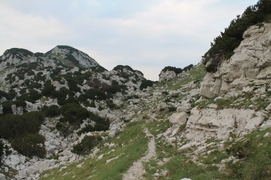 habitat Salamandra atra prenjensis na Prenju (BiH)